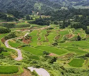 Fazendas e Agricultura