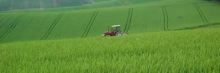 Furano and Biei