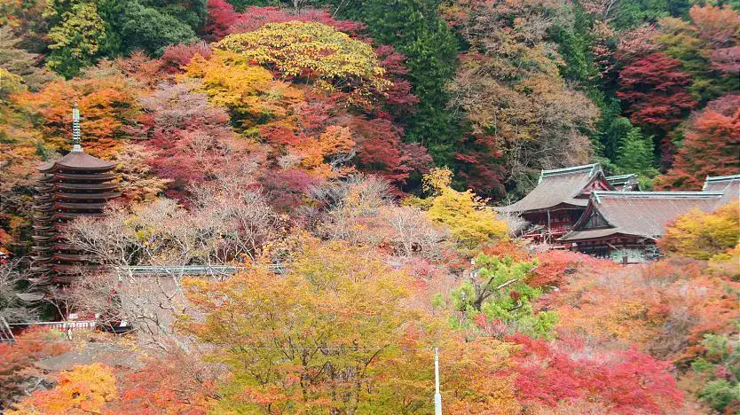 Santuario Tanzan