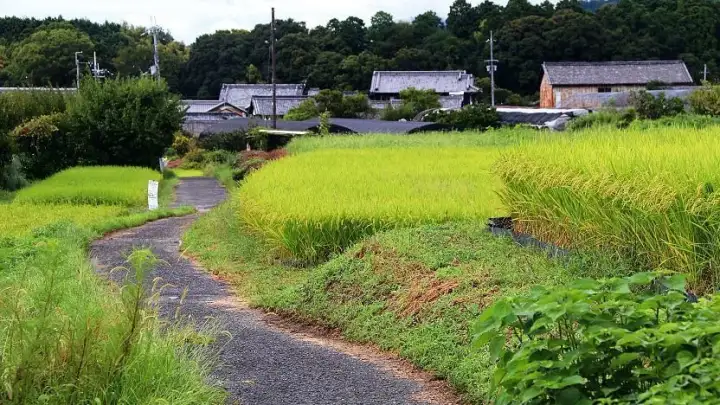 Trilha Yamanobe-no-michi