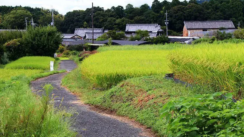 Sendero Yamanobe-no-michi