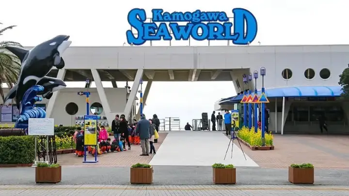 Kamogawa Seaworld