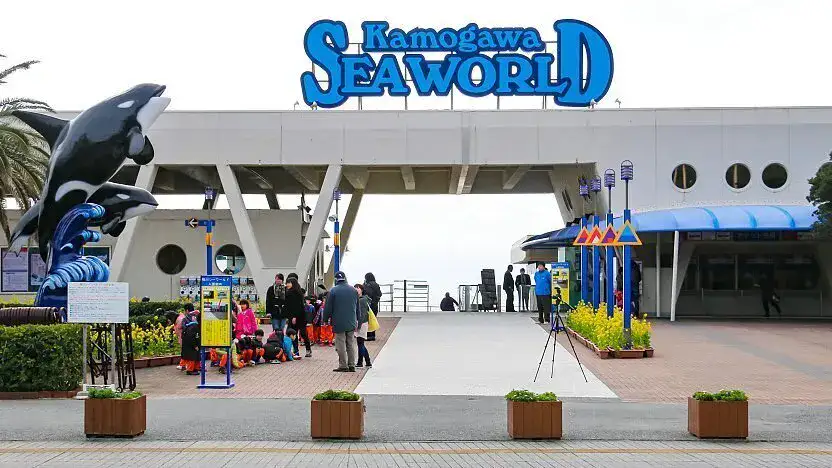 Kamogawa Seaworld