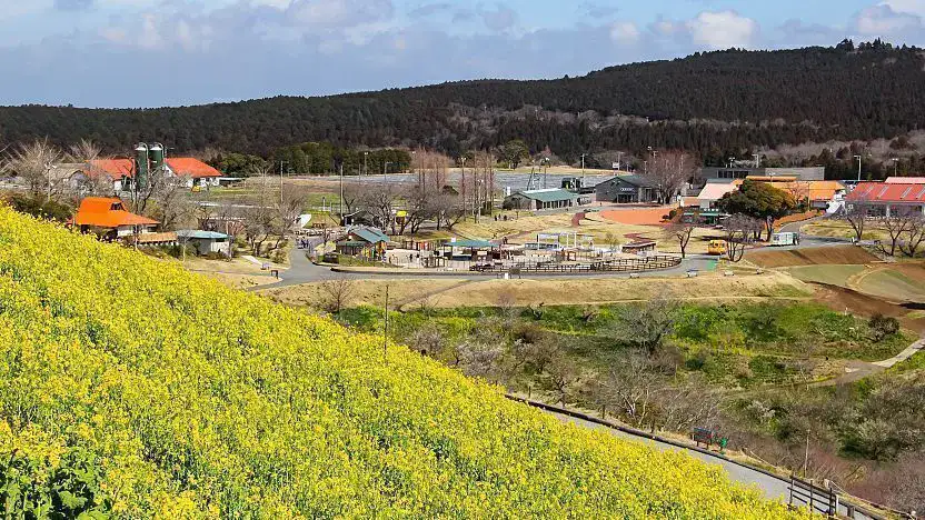 Mother Farm