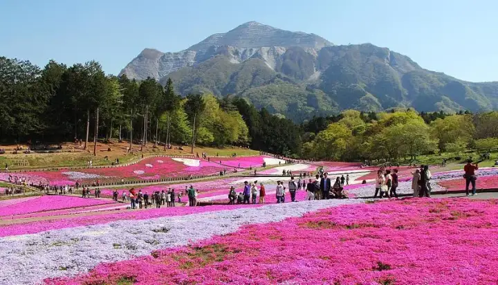 Parque Hitsujiyama