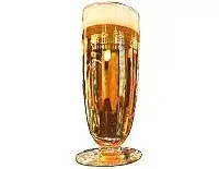 Cerveja