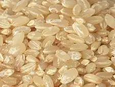 Brown Rice (Genmai)