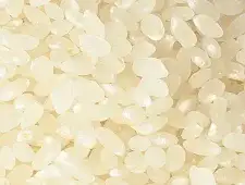 White Rice (Hakumai)