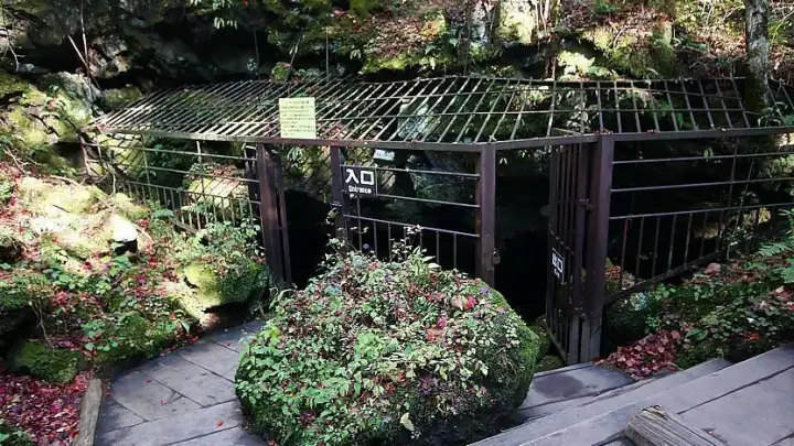 Cavernas