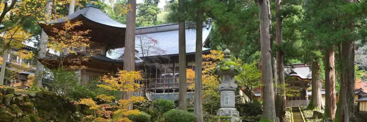 Fukui City