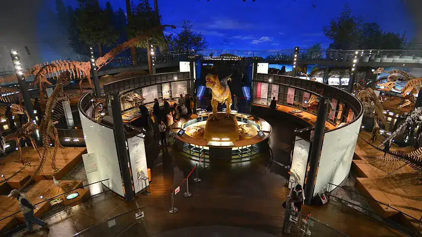 Musée des Dinosaures