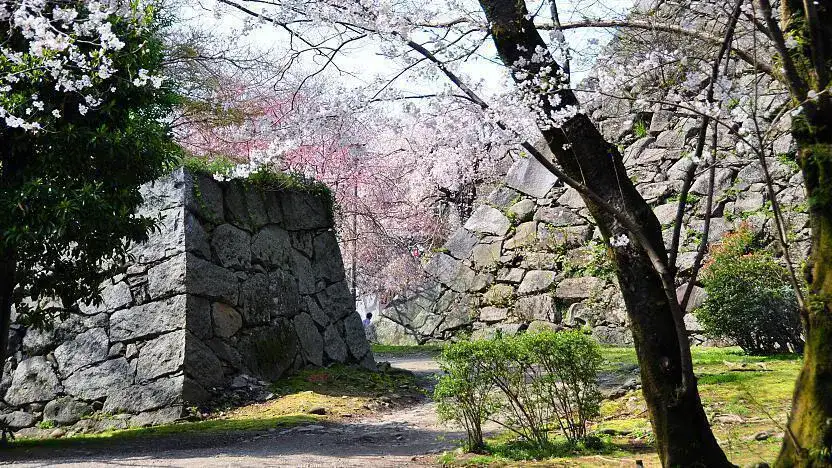 Ruines du château de Fukuoka