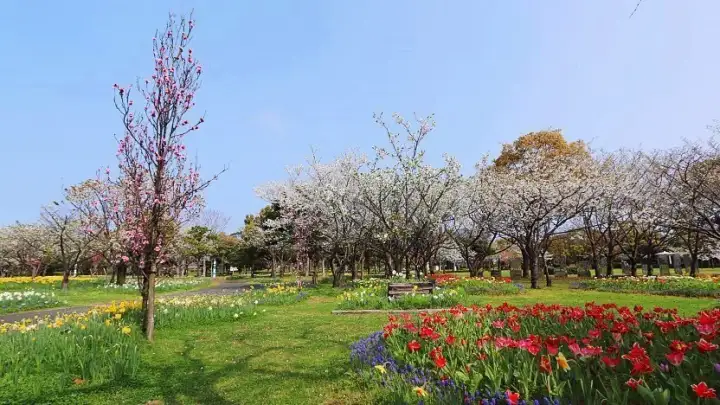 Uminonakamichi Seaside Park