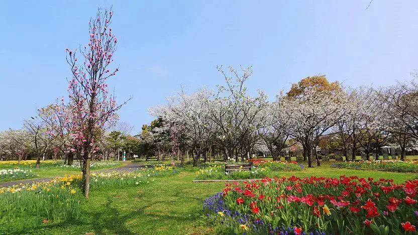 Parque Costero Uminonakamichi