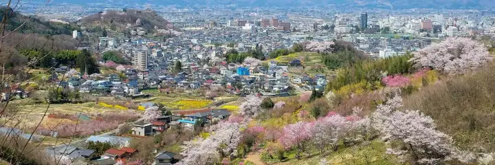 Fukushima City