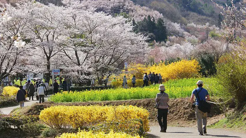 Hanamiyama
