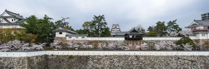 Fukuyama