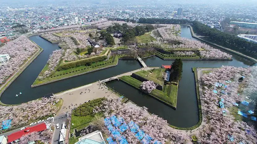 Forte Goryokaku