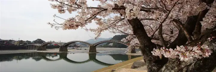 Iwakuni