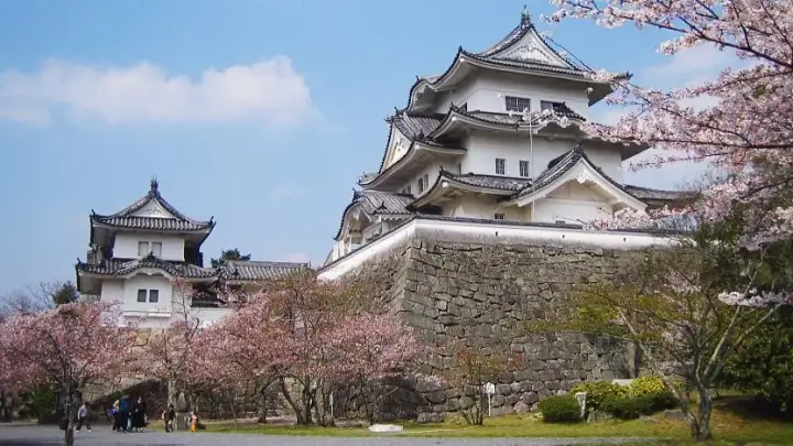 Ueno Castle