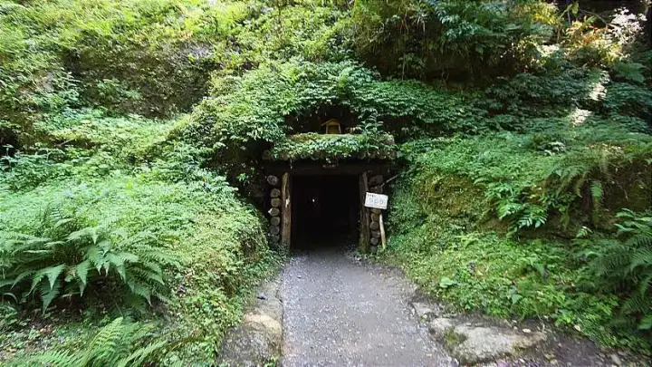 Silver Mine