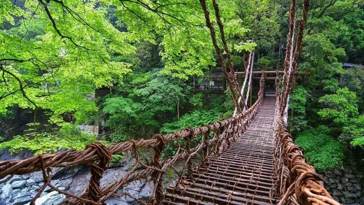 Kazurabashi-Brücke