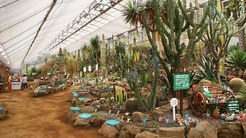 Izu Shaboten Zoo