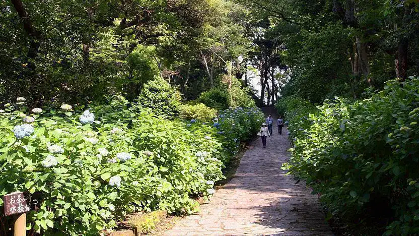 Shimoda Park