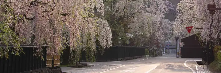 Kakunodate