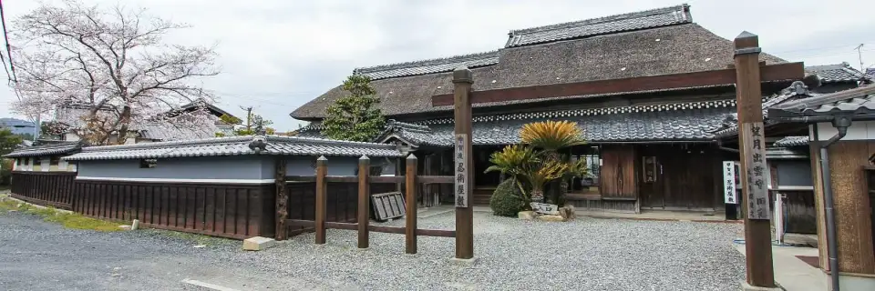 Koka