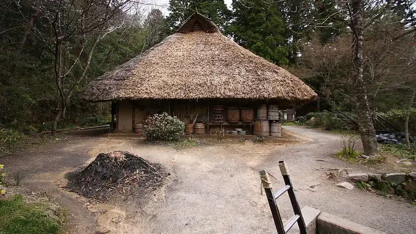 Vila Ninja de Koka