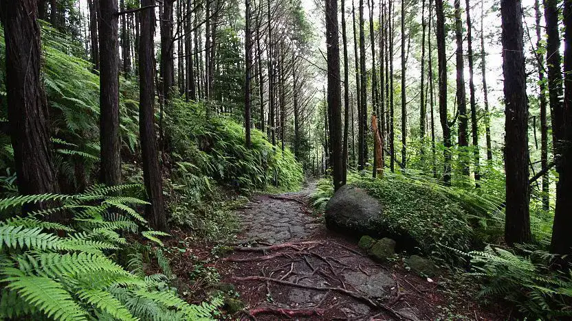 Città di Kumano