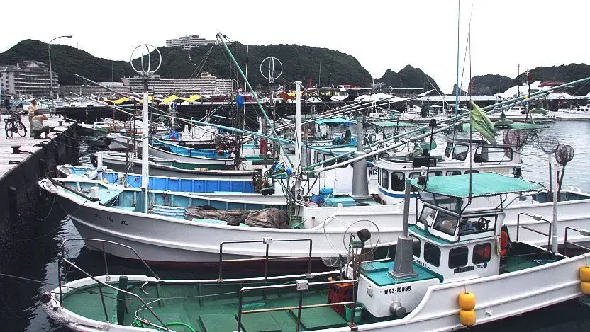 Nachi-Katsuura