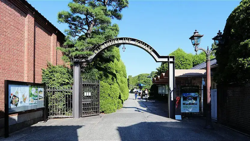 Ivy Square