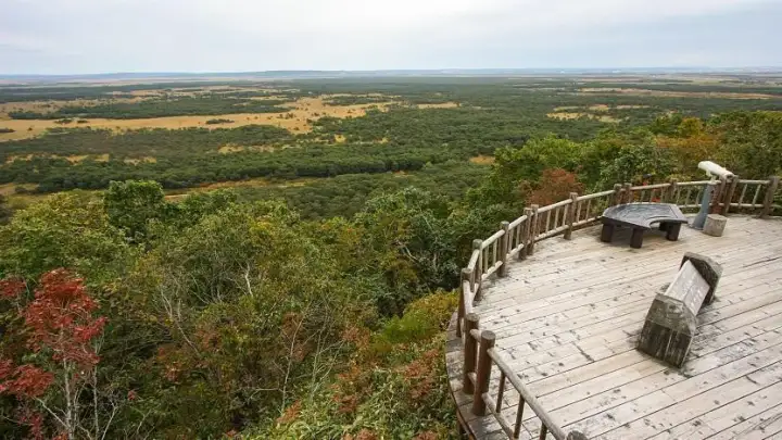 Kushiro Shitsugen National Park
