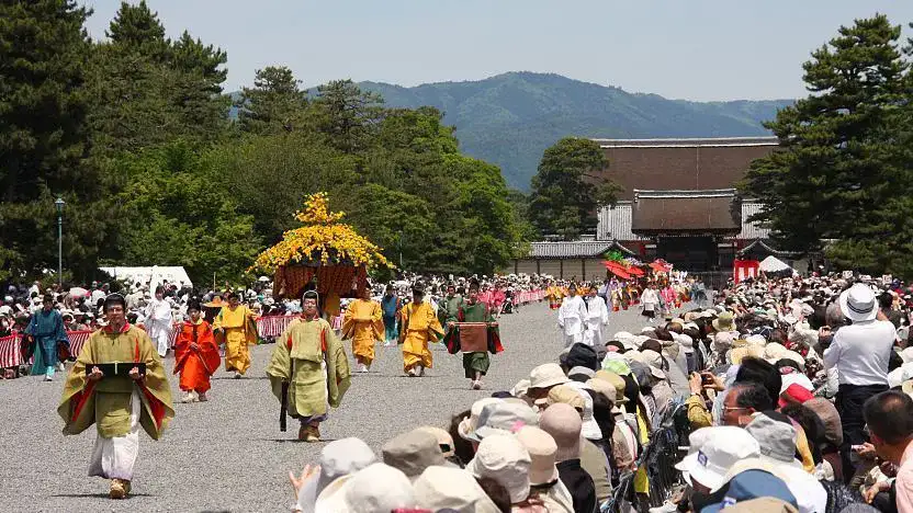 Aoi Matsuri