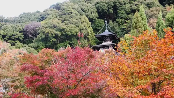 Eikando Temple