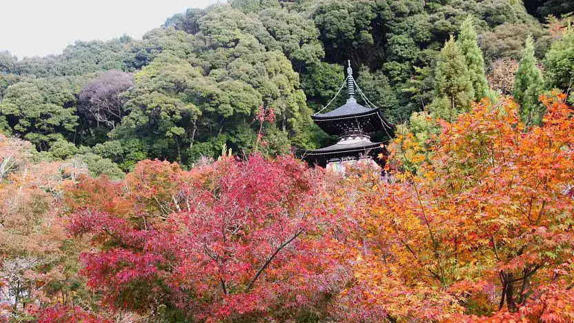 Tempio Eikando