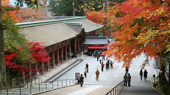 Enryakuji Temple (Hieizan)