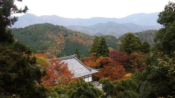 Kurama
