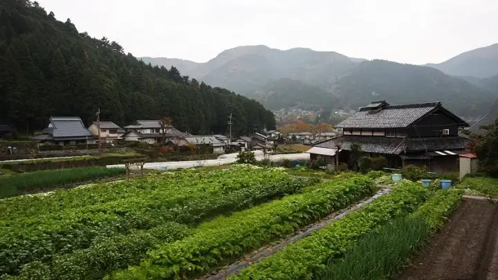Ohara