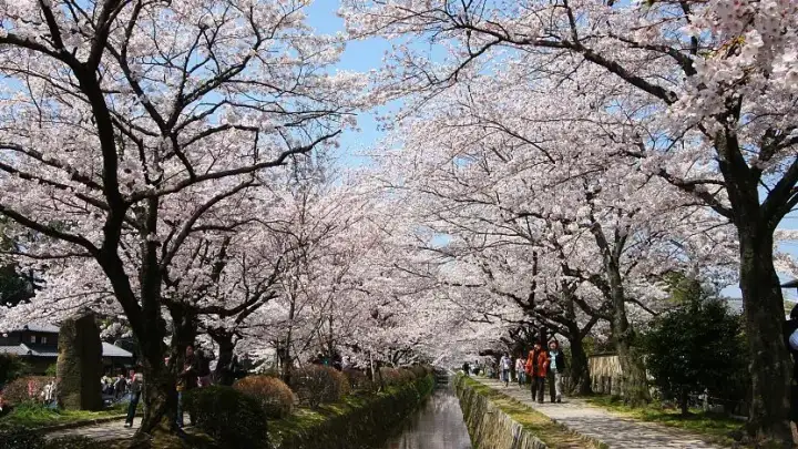 Philosopher's Path