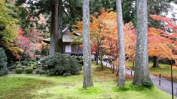 Sanzenin Temple