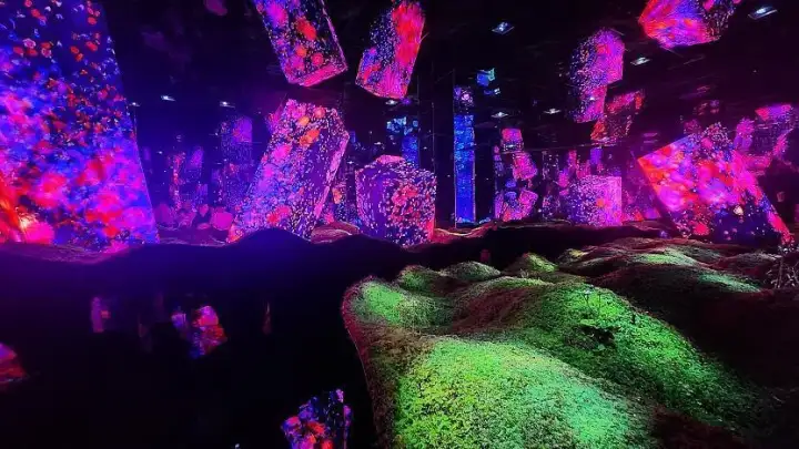 teamLab Biovortex Kyoto