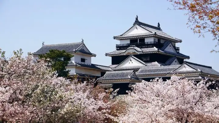 Matsuyama Castle
