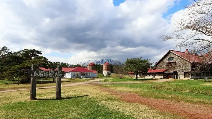Koiwai Farm