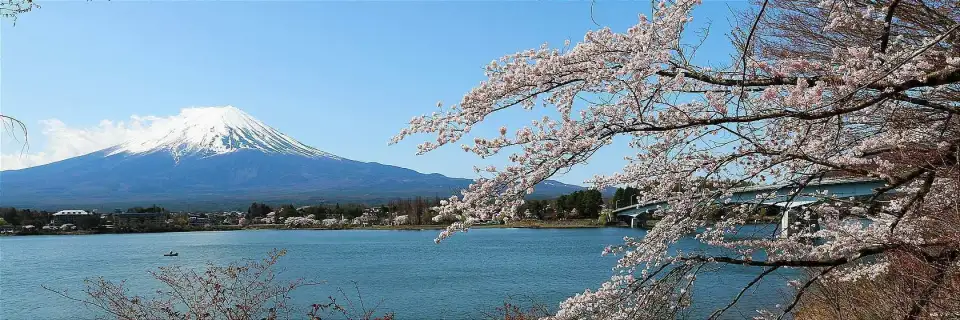Cinque Laghi del Fuji (Fujigoko)