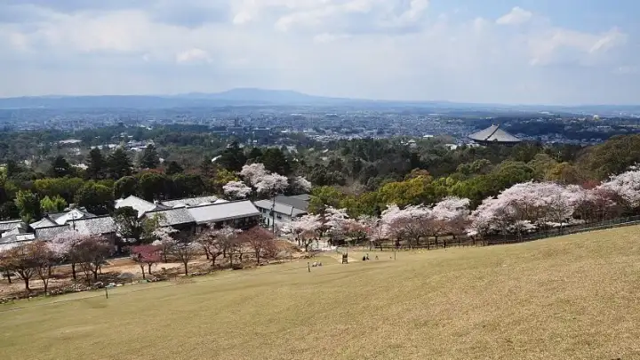 Mount Wakakusayama