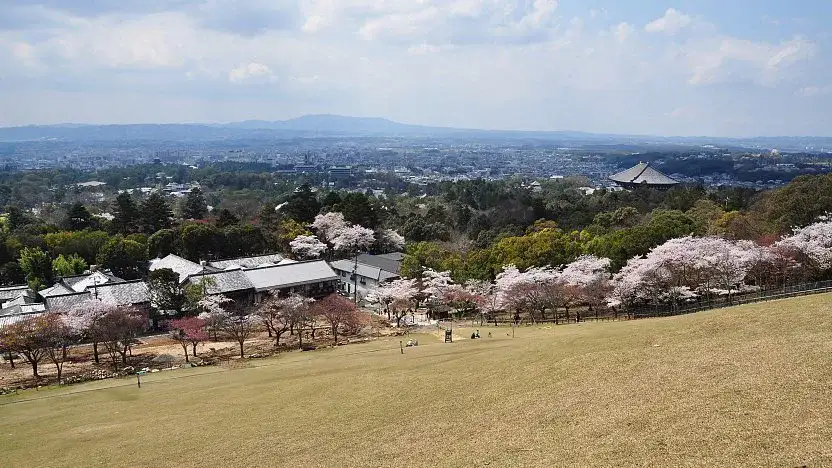 Mount Wakakusayama