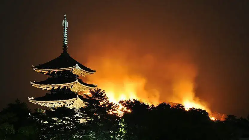 Wakakusa Yamayaki